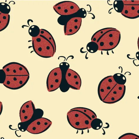 on white Transfer Sheets; Ladybird - Pack of 30